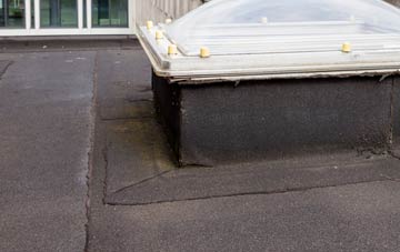 disadvantages of Corton Denham flat roofs