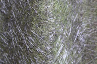 Corton Denham fibreglass roof work